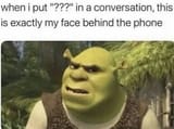 shrek what