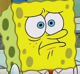 Sponge