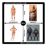 Homo Erectus Teleomorphology