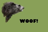 woof - dog or strange creature