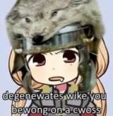 441331