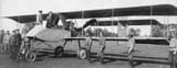 voisin