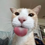 1749850281753