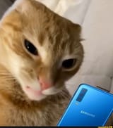 1744319401283247