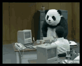 angry panda