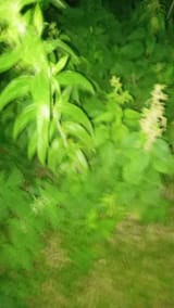 IMG_20250612_224353_162