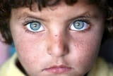 Persian eyes