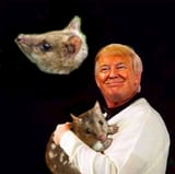Trump-quoll