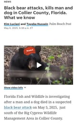 Screenshot_20250506_102028_DuckDuckGo