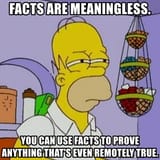 homer facts