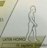 1748951116930943