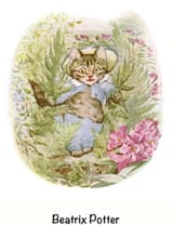 tale of tom kitten, beatrix potter, no need to care about materialism in white society