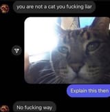 1710742010557599