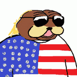 amerigan