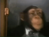 a more distinguished shitflinger leaves at the sight of rampant [z]ubhumanity
