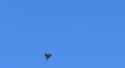 A Shahed drone was captured on video crashing straight into the sea near Odesa. 21-06-2025 HD_thumb.jpg