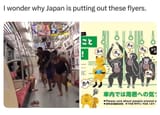 1737190017317159