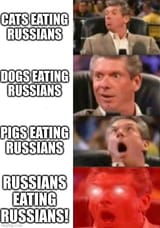 CATS, DOGS, PIGS, RUSSIAN EATING RUSSIANS CHUG