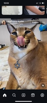 IMG_0879
