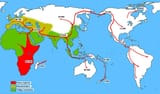 1280px-Spreading_homo_sapiens-no