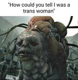 ywnbaw
