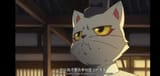 cat99