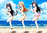 bikini-summer