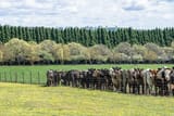 images - 2025-06-22T000809.016
