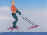 flying fish