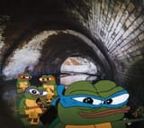 tmnf