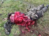 rusi morti 79
