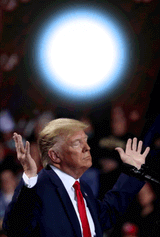 Donald Energy Ball