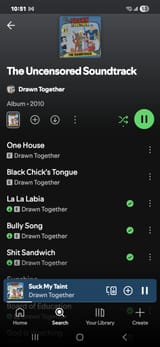 Screenshot_20250621_105151_Spotify