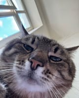 bphrcjye