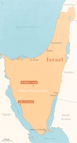 960879281