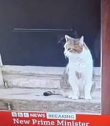 1724489878627522