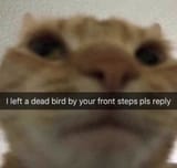 GsPYzrnXwAAPau7