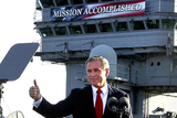 bush