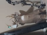 20250614_053207