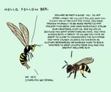 hello-fellow-bee-jew
