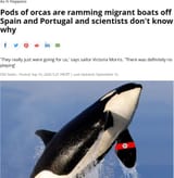 1600400397777m