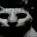 1750521149747204.jpg