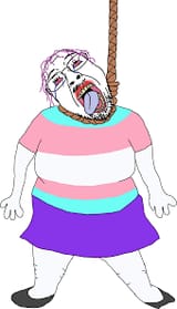 trannys (42)