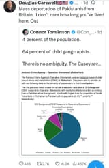pakistani rape gangs percentage