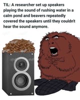 1727304103219878