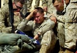 Lost the war and died for nothing