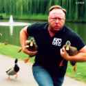 ai_vid_alex_jones_ducks_in_the_park_are_free_thumb.jpg