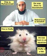 FluffyBeFish