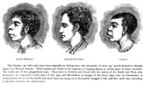 Scientific_racism_irish
