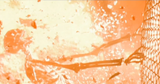 1749944149748205